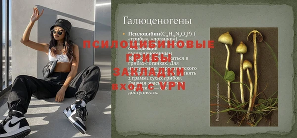 шишки Алексин