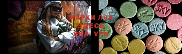 шишки Алексин