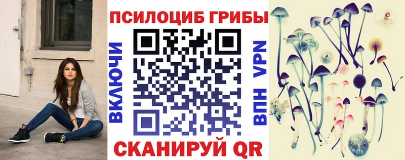 купить наркотик  это формула  МЕГА как войти  Галлюциногенные грибы Psilocybine cubensis  Артёмовск 